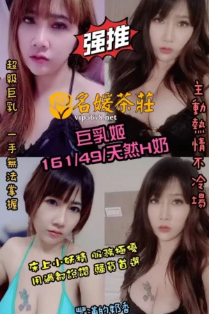 雲林定點茶-巨乳姬