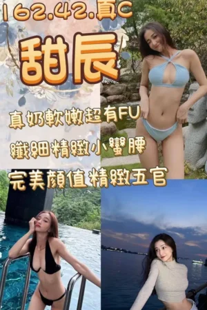 高雄外送茶-甜辰