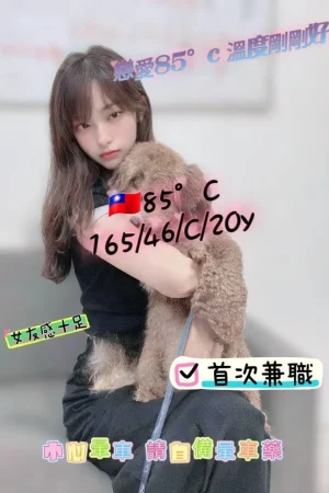 台中外送茶-85°c