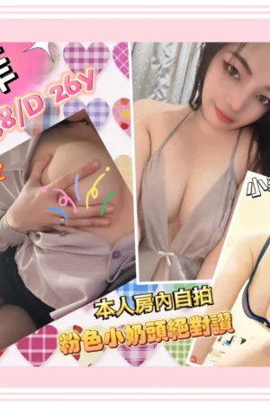 新北定點茶-韓菲