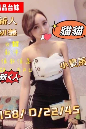 桃園外送茶-貓貓