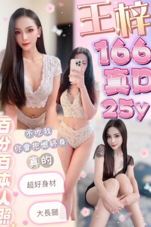台北定點茶王梓