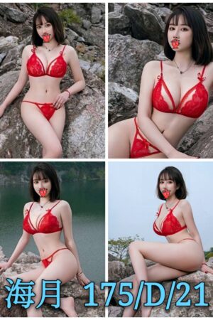台北外送茶海月