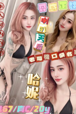 新北定點茶哈妮