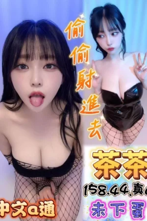 台中定點茶-茶茶