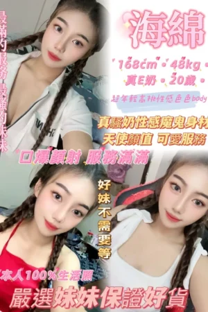 新北定點茶-海綿