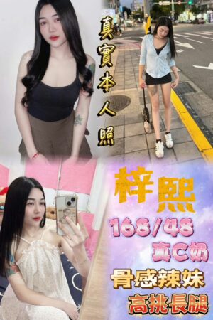 台北定點茶-梓熙
