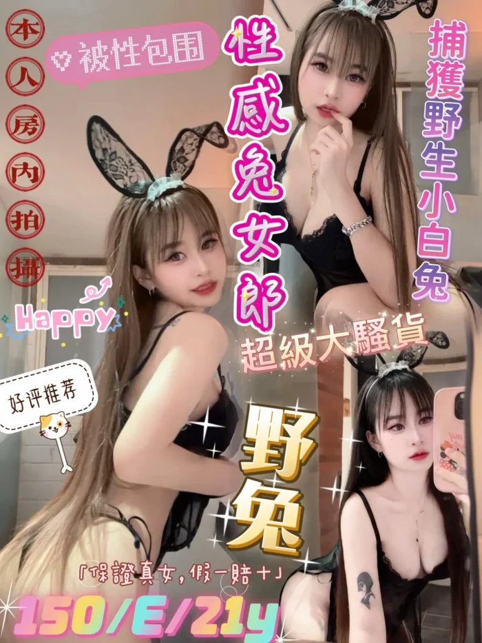 台北定點茶-野兔