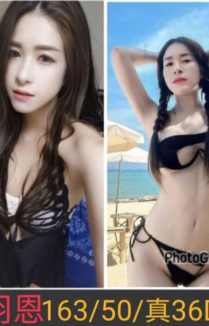 南投定點茶-羽恩