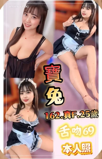 新北定點茶-寶兔