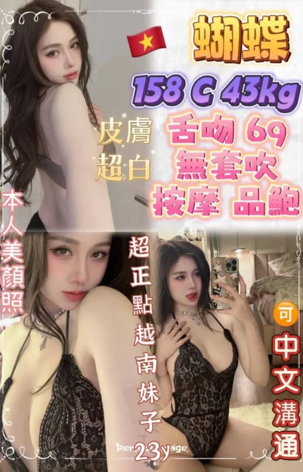 新北定點茶-蝴蝶