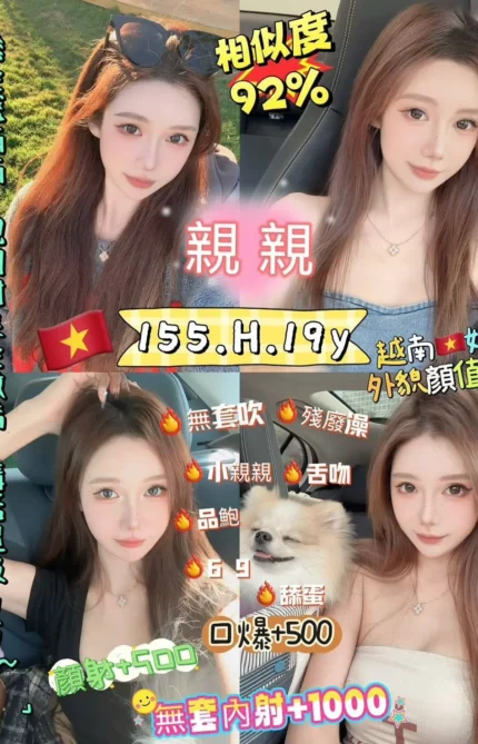 新北定點茶:親親