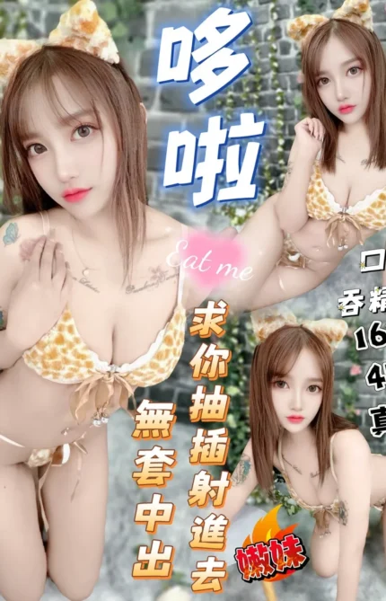 台中定點茶-哆啦