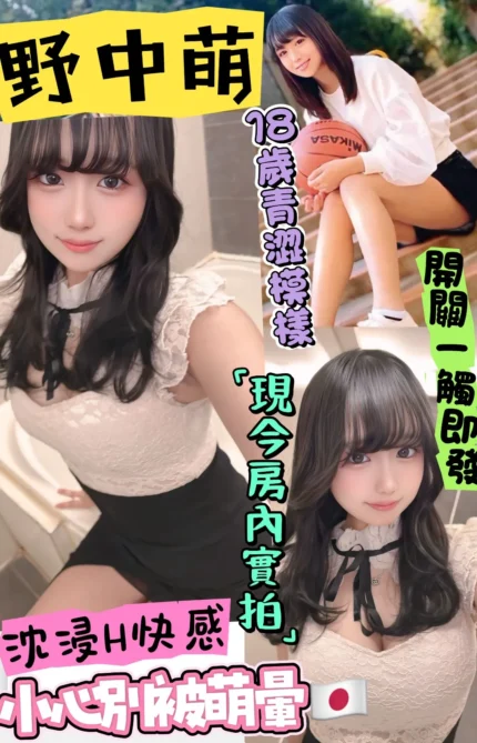 台中定點茶-野中萌