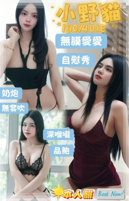 屏東定點茶-小野貓