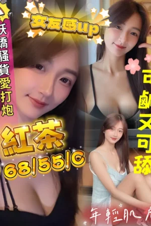 屏東定點茶-紅茶