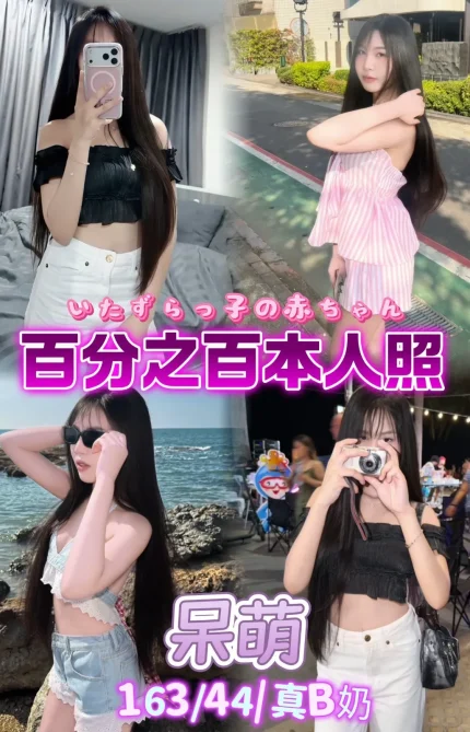 台北定點茶-呆萌