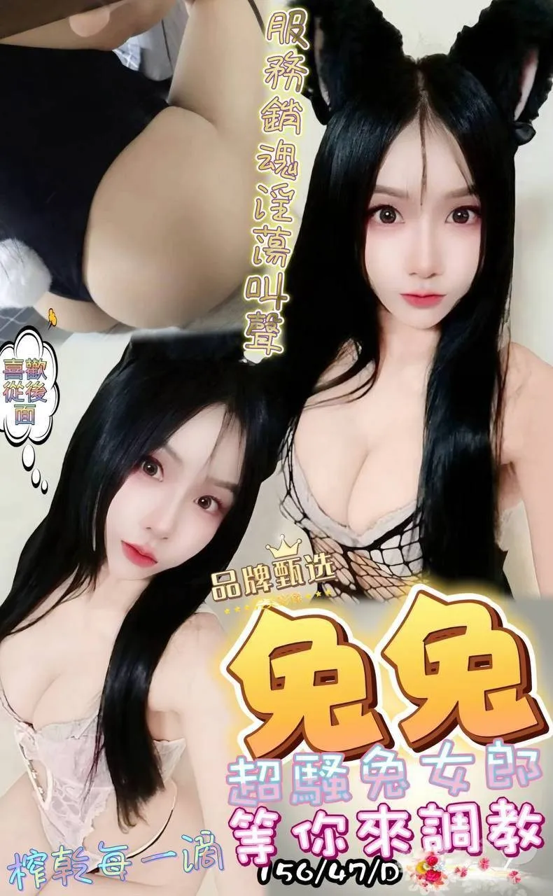 屏東定點茶-兔兔 屏東定點茶-兔兔