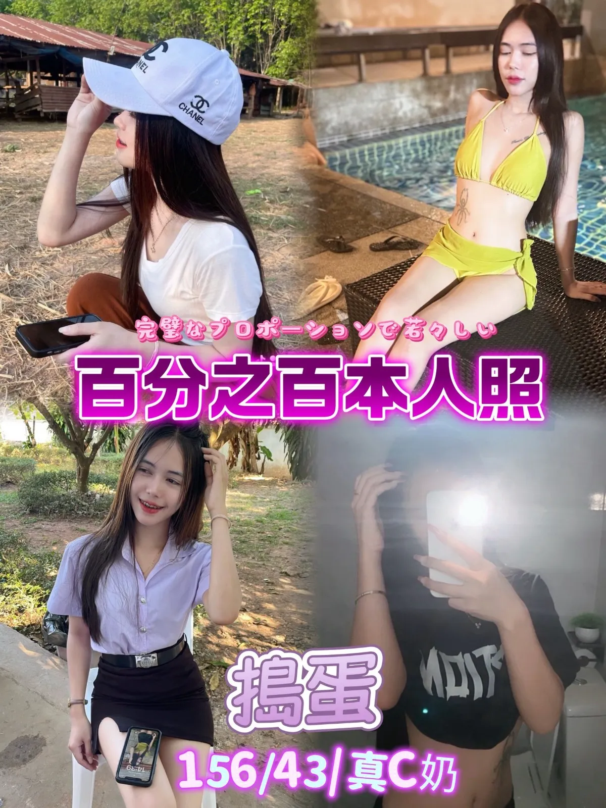 台北定點茶-搗蛋 台北定點茶-搗蛋