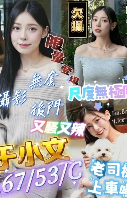 屏東定點茶-于小文