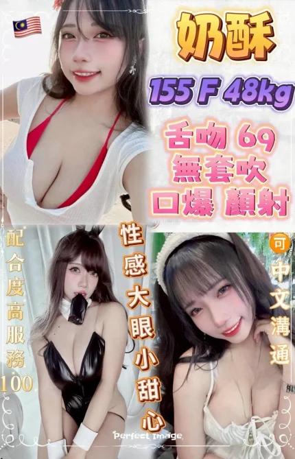 新北定點茶-奶酥