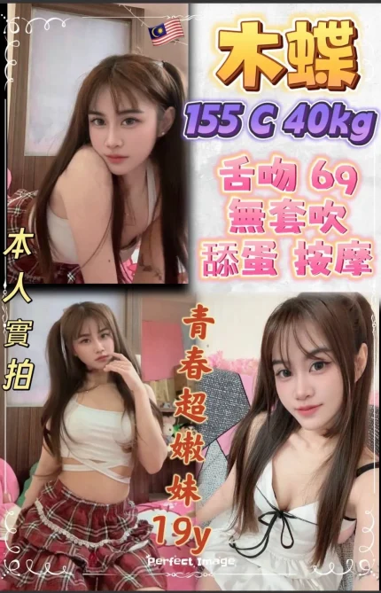 新北定點茶-木蝶
