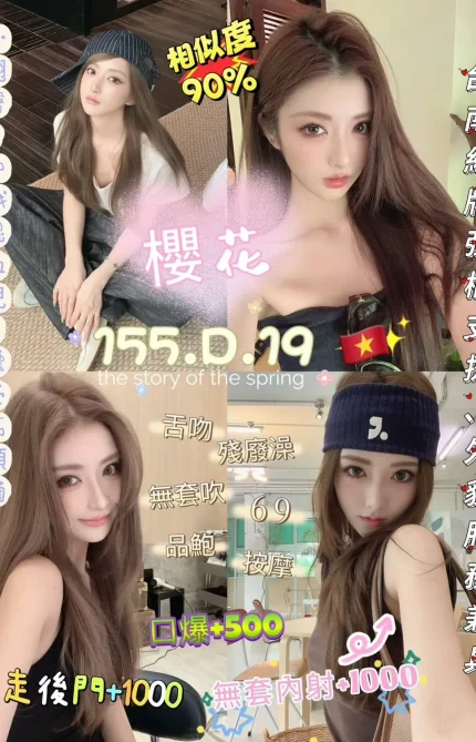 新北定點茶-櫻花