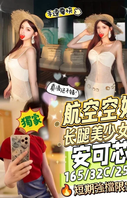 台中外送茶-安可芯